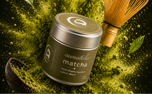 Why Your First Matcha Experience Matters: How to Identify High-Quality Matcha