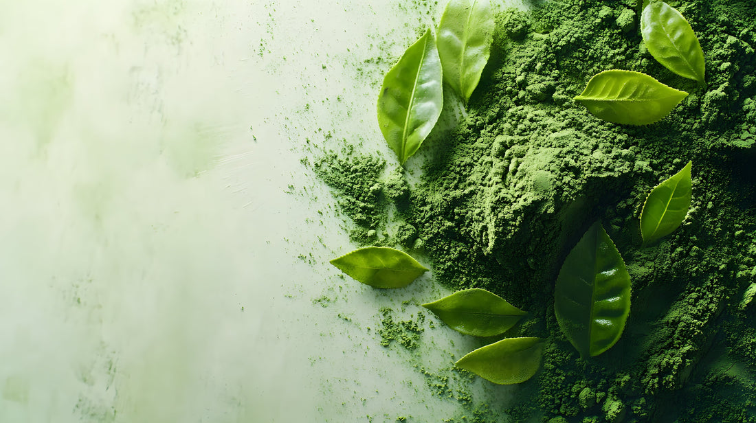 Benefits of Drinking Matcha Daily for Focus, Skin & Wellness